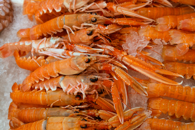 Crostacei